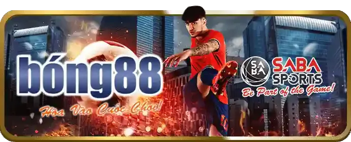 Cá cược bóng đá z8bet nổ hũ